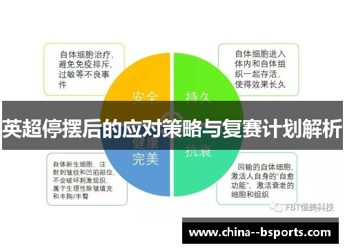 英超停摆后的应对策略与复赛计划解析