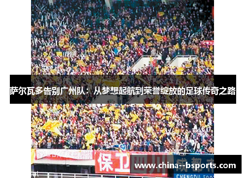 萨尔瓦多告别广州队：从梦想起航到荣誉绽放的足球传奇之路