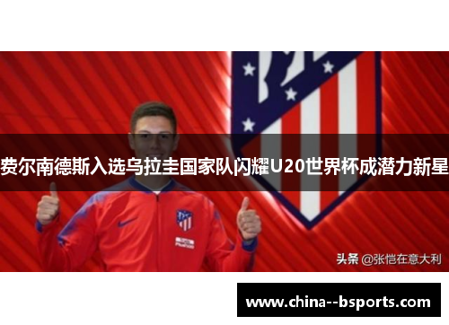 费尔南德斯入选乌拉圭国家队闪耀U20世界杯成潜力新星