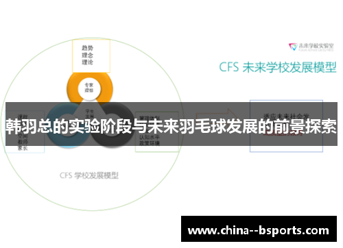 韩羽总的实验阶段与未来羽毛球发展的前景探索 韩羽总的实验阶段与未来羽毛球发展的前景探索