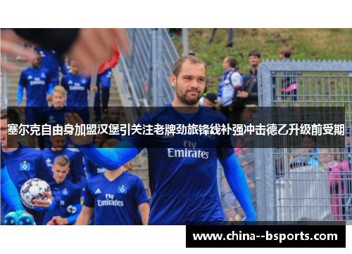 塞尔克自由身加盟汉堡引关注老牌劲旅锋线补强冲击德乙升级前受期