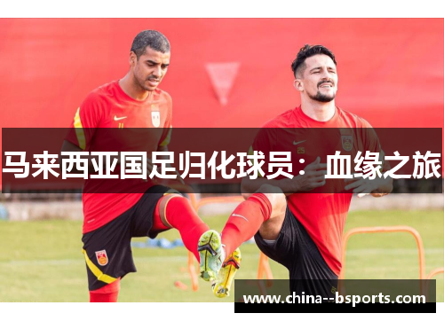 马来西亚国足归化球员：血缘之旅