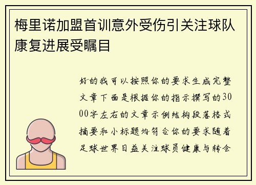 梅里诺加盟首训意外受伤引关注球队康复进展受瞩目